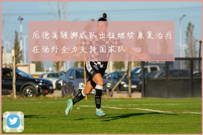 厄德高随挪威队出征继续康复治疗在场外全力支持国家队
