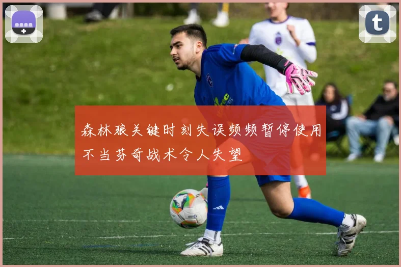 森林狼关键时刻失误频频暂停使用不当芬奇战术令人失望